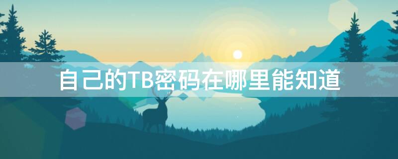 自己的TB密码在哪里能知道