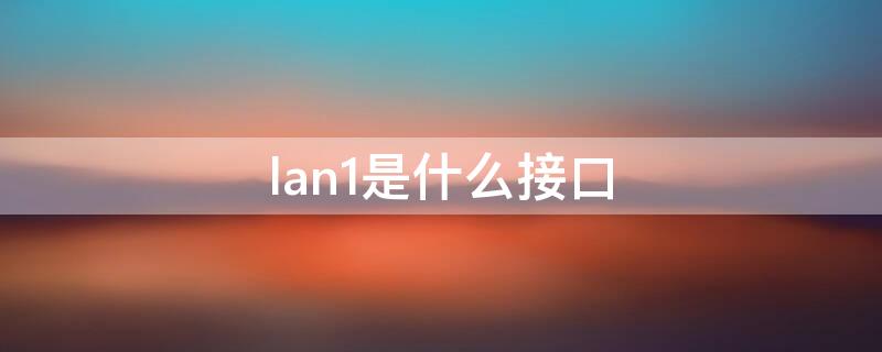 lan1是什么接口（LAN1是什么接口）