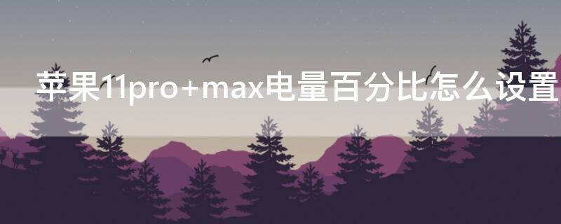 iPhone11pro max电量百分比怎么设置