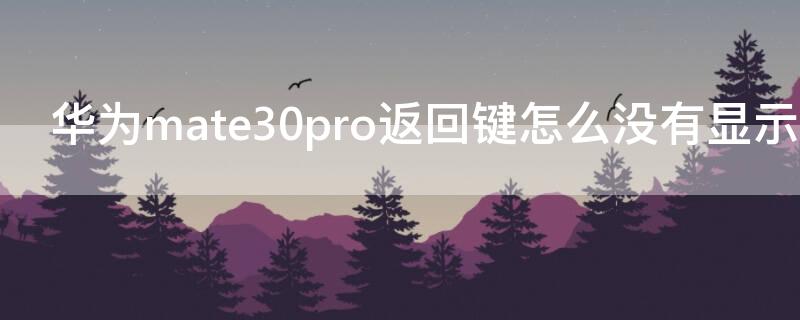 华为mate30pro返回键怎么没有显示了 华为mate30pro左上角返回键不好用