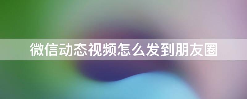 微信动态视频怎么发到朋友圈 微信朋友圈里动态视频怎么发