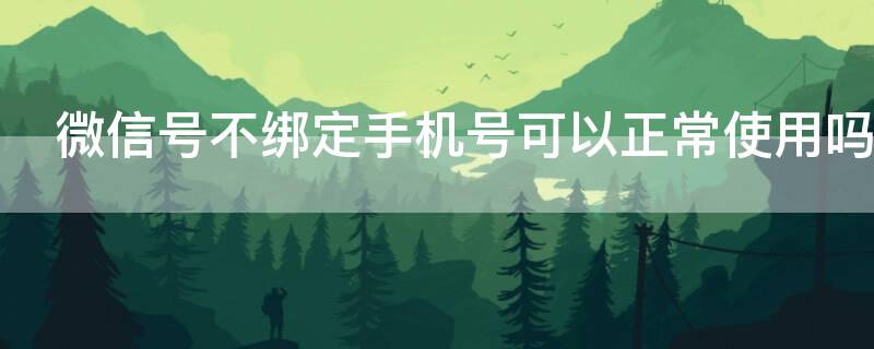 微信号不绑定手机号可以正常使用吗（微信不绑定手机号可以用吗）