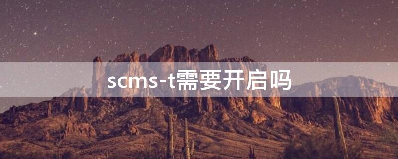 scms-t需要开启吗 scms-t启用还是禁用