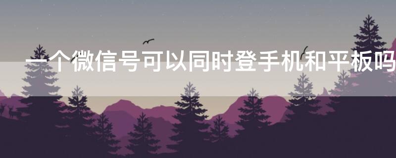 一个微信号可以同时登手机和平板吗 一个微信号可以同时登一个手机和一个平板吗