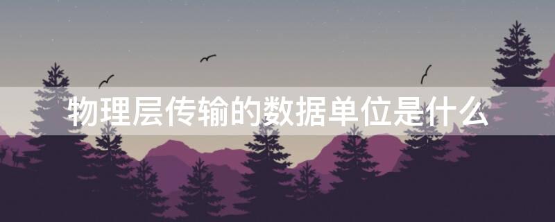 物理层传输的数据单位是什么（物理层信息传输的基本单位是什么）