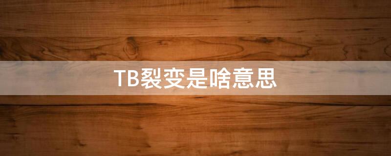 TB裂变是啥意思（tb病变是什么意思）