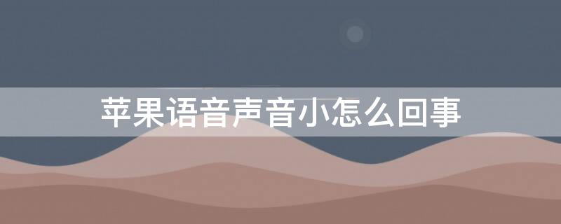 iPhone语音声音小怎么回事