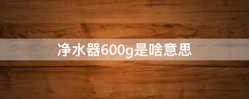 净水器600g是啥意思（净水器600G是什么意思）