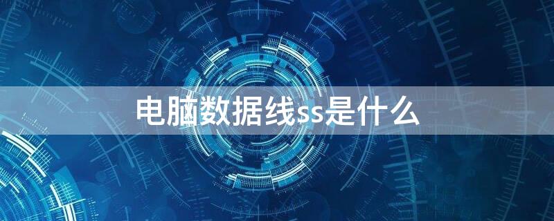 电脑数据线ss是什么 ss数据线接口