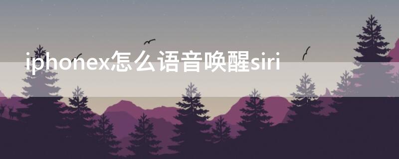 iPhonex怎么语音唤醒siri（iphonex怎么启动siri语音）