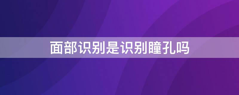 面部识别是识别瞳孔吗 面部识别是不是识别瞳孔