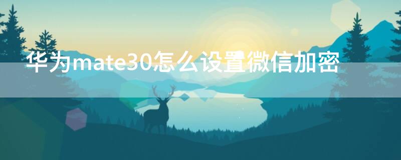 华为mate30怎么设置微信加密 华为mate30微信怎么加密码