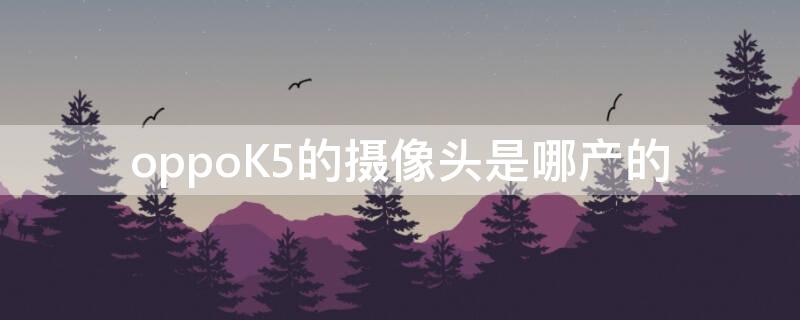 oppoK5的摄像头是哪产的（oppok5前置摄像头怎么样）