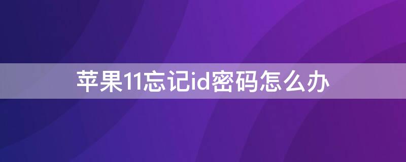 iPhone11忘记id密码怎么办（apple11 id密码忘了怎么办）