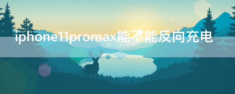 iPhone11promax能不能反向充电 iphone11promax支持反向充电吗