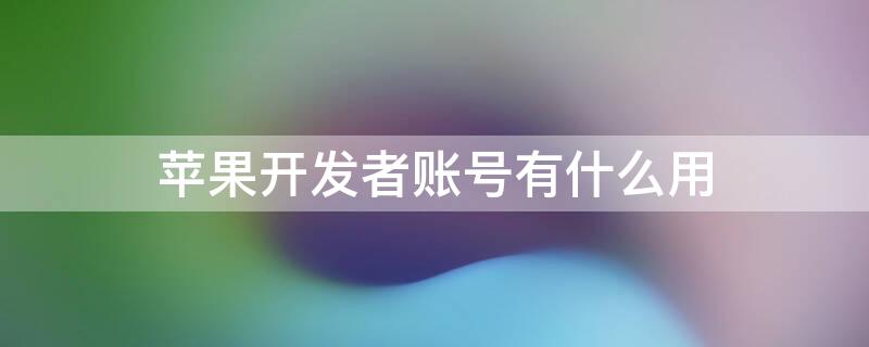 iPhone开发者账号有什么用 apple开发者账号有什么用