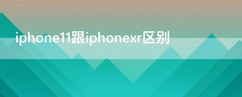 iPhone11跟iPhonexr区别（iphonexr跟iphone11的区别）