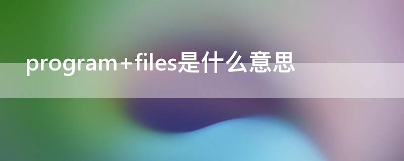 program files是什么意思