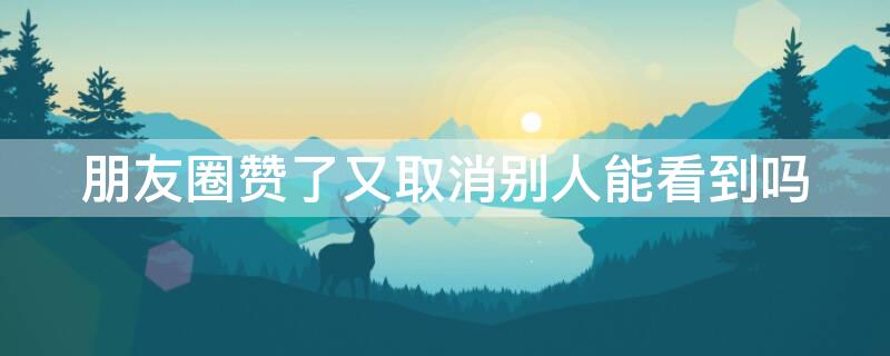 朋友圈赞了又取消别人能看到吗（微信朋友圈点赞取消了别人还能看到吗）