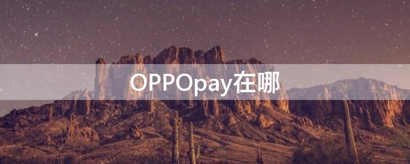 OPPOpay在哪（支持oppopay的手机）