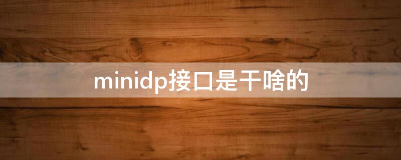 minidp接口是干啥的 minidp接口