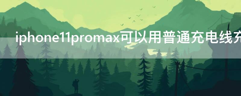 iPhone11promax可以用普通充电线充电吗（iphone11promax充电线能通用吗）