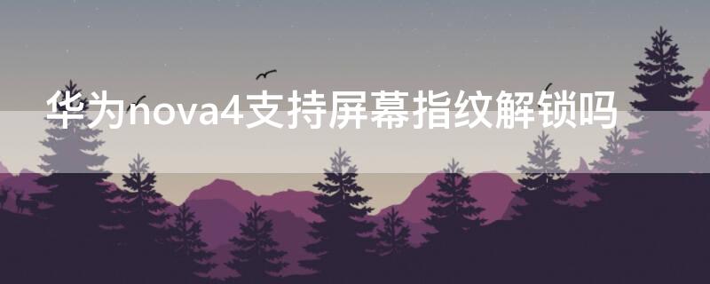 华为nova4支持屏幕指纹解锁吗 华为nova4有屏幕指纹解锁吗