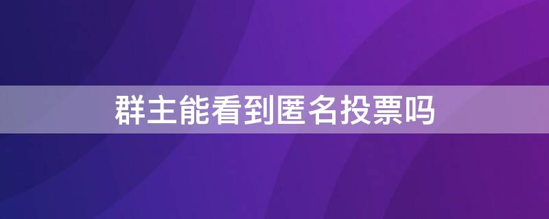 群主能看到匿名投票吗（群主怎么看匿名投票）