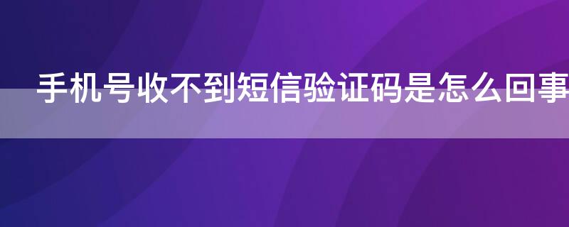 手机号收不到短信验证码是怎么回事 手机号为什么收不到短信验证码