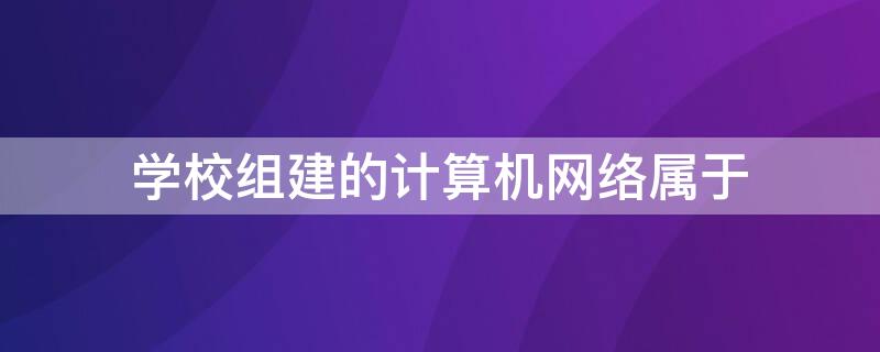 学校组建的计算机网络属于 学校内计算机网络属于