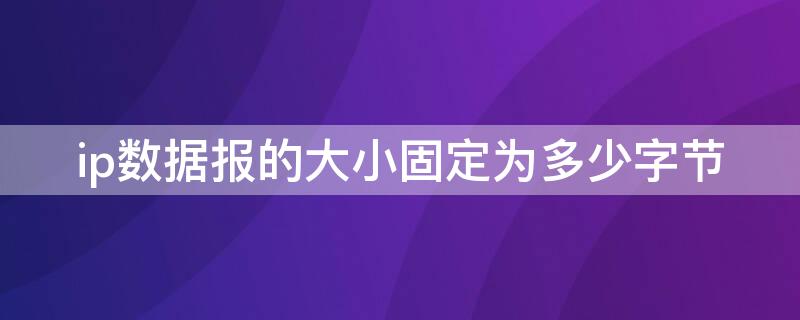 ip数据报的大小固定为多少字节 ip报文中固定长度部分为多少字节