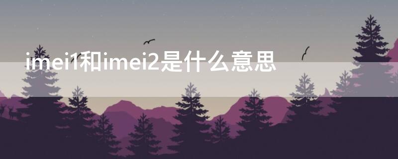 imei1和imei2是什么意思（imei1和imei2是什么意思手机被偷了）