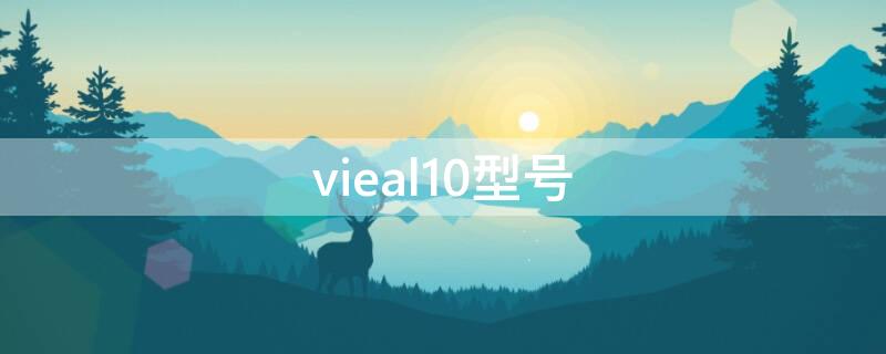 vieal10型号（vieal10华为什么型号多少钱）