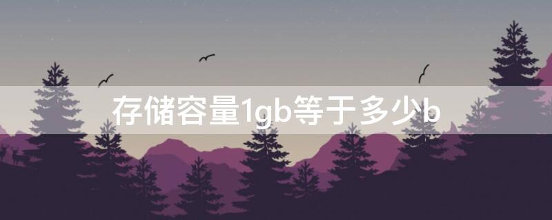 存储容量1gb等于多少b（1gb的内存容量是多少）