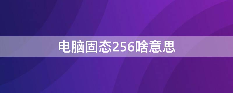 电脑固态256啥意思（电脑配置256固态什么意思）