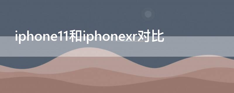 iPhone11和iPhonexr对比 iPhone11和iPhonexr对比