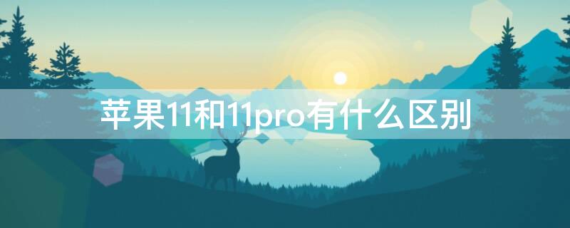 iPhone11和11pro有什么区别（iphone11和11pro有什么区别?）