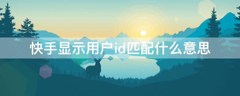 快手显示用户id匹配什么意思（快手id和用户id是一个吗）