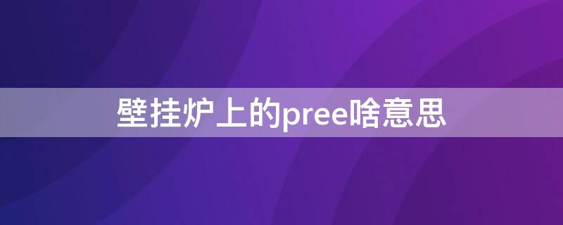 壁挂炉上的pree啥意思 壁挂炉PREE是什么意思