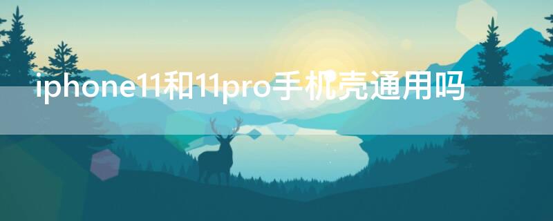 iPhone11和11pro手机壳通用吗 苹果11跟11pro的手机壳通用吗