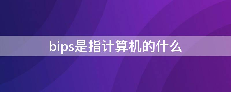 bips是指计算机的什么 bips是指计算机的什么的简称