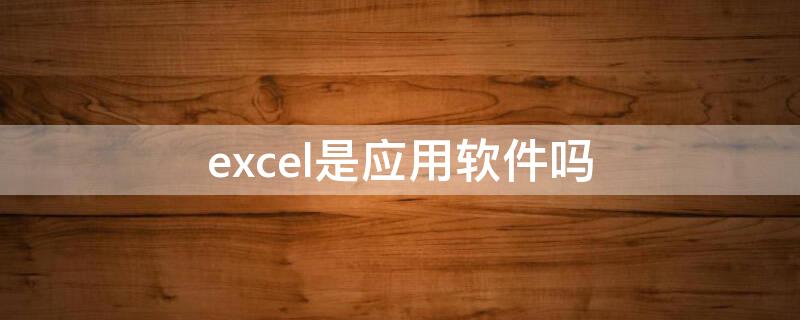 excel是应用软件吗（excel2010是应用软件吗）