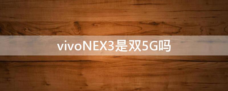 vivoNEX3是双5G吗（vivonex3是双模5g吗）