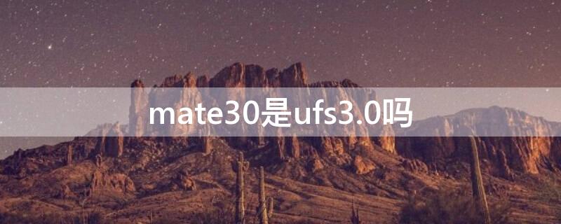 mate30是ufs3.0吗（mate30的闪存是ufs3.0还是2.1）