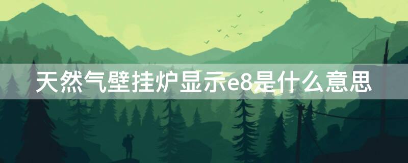 天然气壁挂炉显示e8是什么意思 壁挂炉显示e8是什么情况