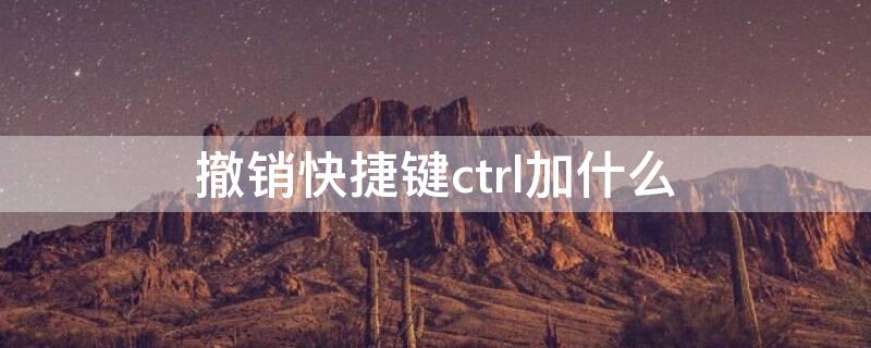 撤销快捷键ctrl加什么 表格撤销快捷键ctrl加什么