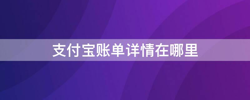 支付宝账单详情在哪里（支付宝账单详情在哪里看）