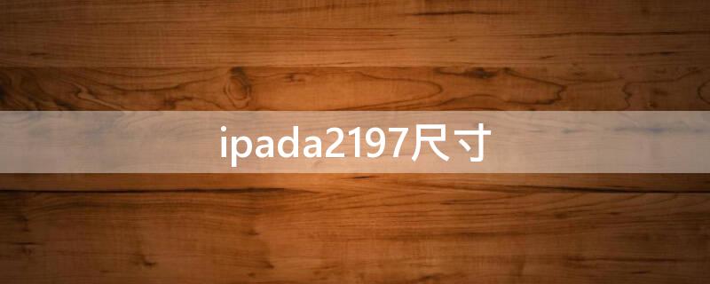 ipada2197尺寸 ipada2199尺寸