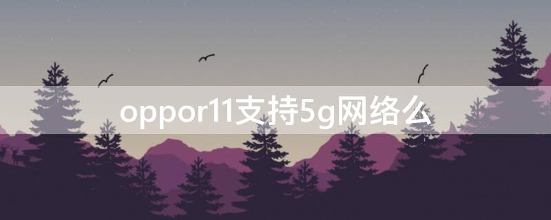 oppor11支持5g网络么 oppor11t支持5g网络吗