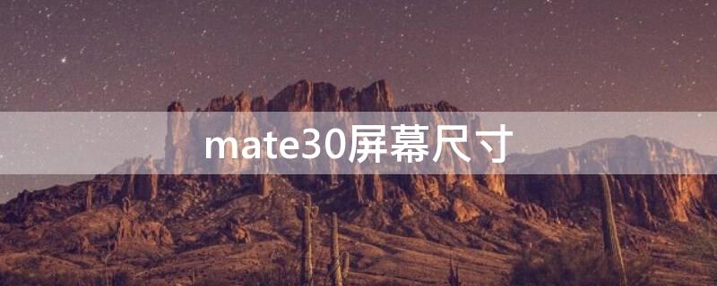 mate30屏幕尺寸 华为mate30屏幕尺寸